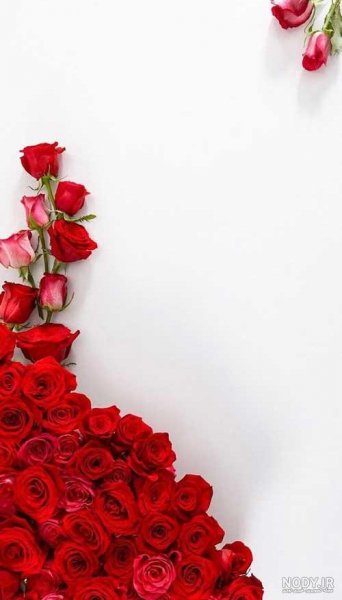  عکس بک گراند زیبا برای نوشتن متن