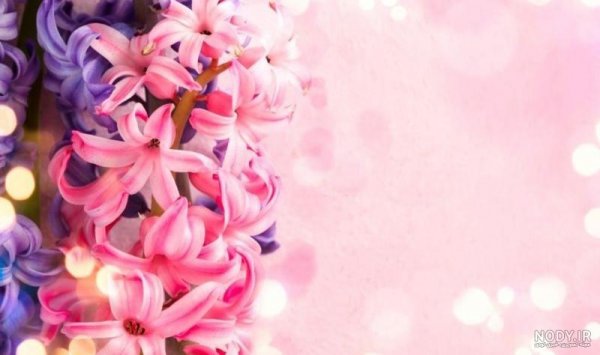  عکس بک گراند زیبا برای نوشتن متن
