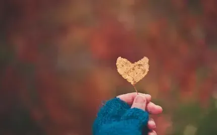  عکس دخترانه قلبی با کیفیت بالا
