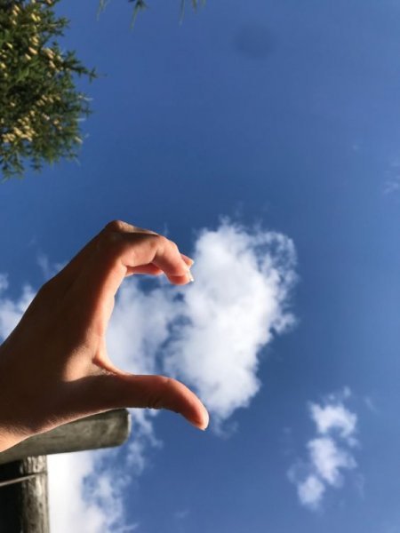  عکس قلب دخترانه برای پروفایل