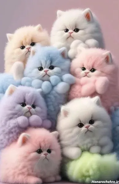 پس زمینه گربه صورتی