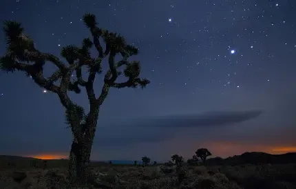  دانلود عکس پروفایل آسمان شب کویر