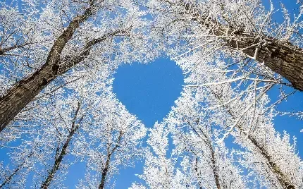 دانلود والپیپر قلب برای پروفایل