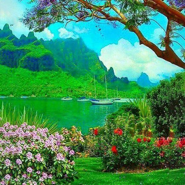  عکس پروفایل زیبا از طبیعت