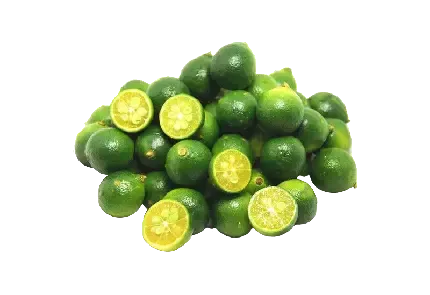  عکس لیمو کیوت