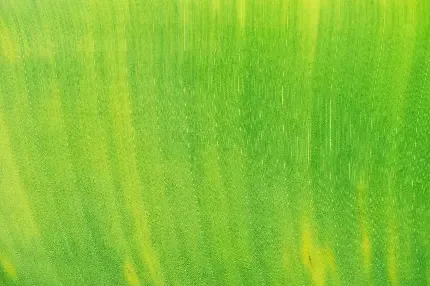  عکس سبز ماچا