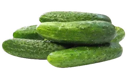 عکس خیار کارتونی