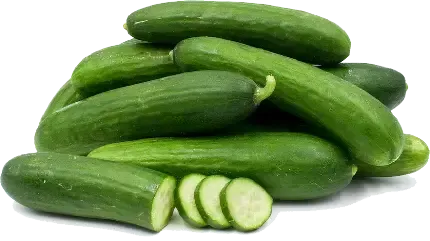 عکس خیار کارتونی