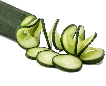 عکس خیار کارتونی