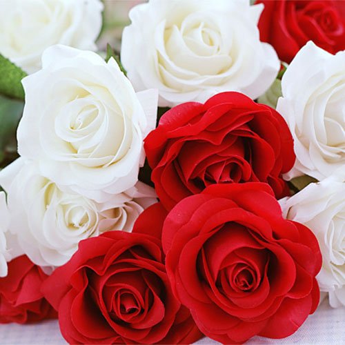  عکس دسته گل رز قرمز برای پروفایل