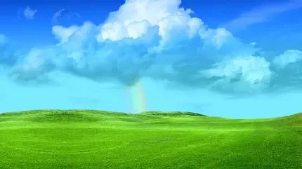  عکس پس زمینه چمن های سرسبز با کیفیت