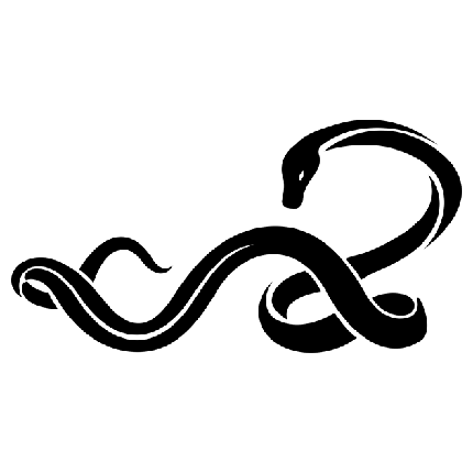  طرح تاتو مردانه خفن و گنگ