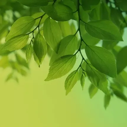  جدیدترین بک گراند برای تبلت و آیپد با کیفیت بالا