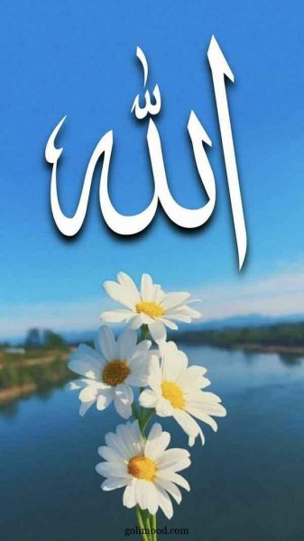  عکس الله برای استوری اینستا