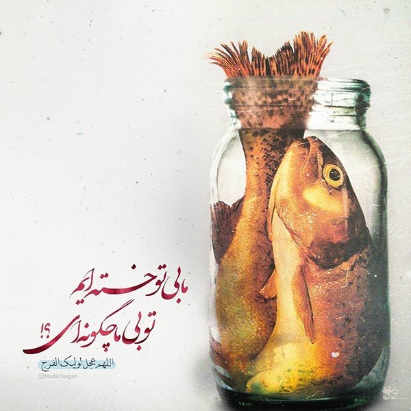  عکس پروفایل نیمه شعبان جدید
