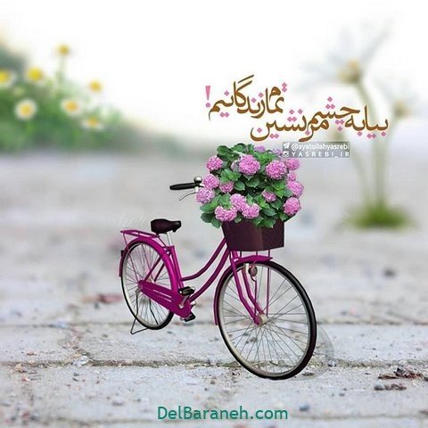  عکس پروفایل نیمه شعبان مبارک