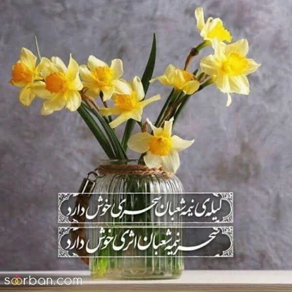  عکس برای نیمه شعبان 1404