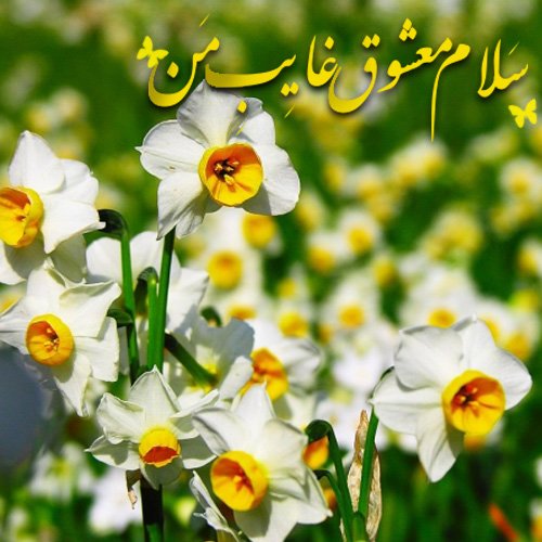  عکس نوشته میلاد حضرت مهدی 1404
