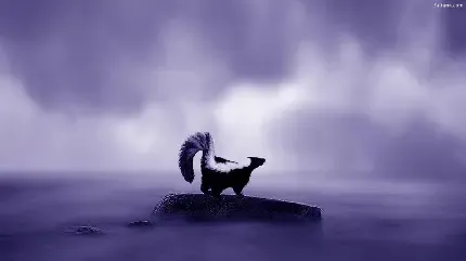  عکس راسو