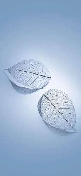  والپیپر اورجینال