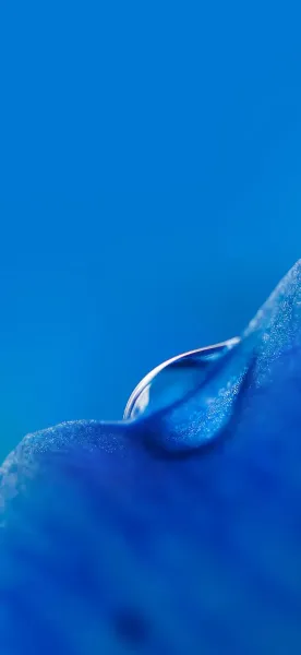  والپیپر اورجینال