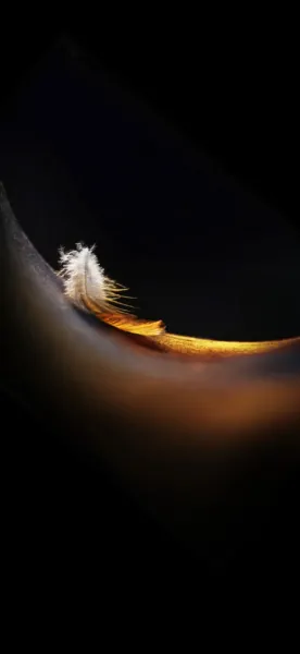  والپیپر اورجینال