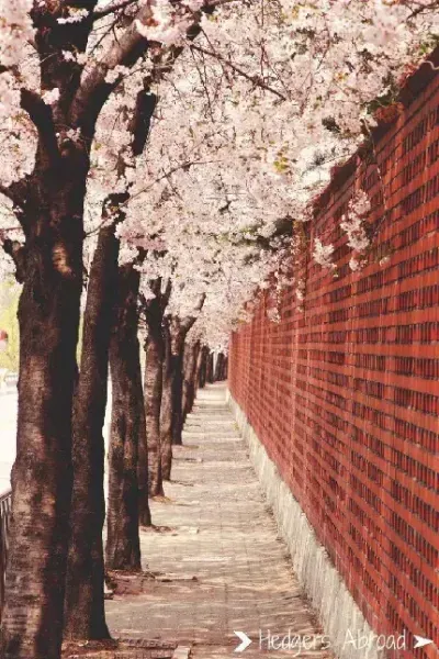  عکس کره جنوبی در شب