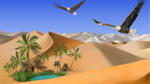  عکس درخت نخل زیبا
