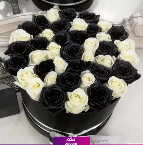  عکس پس زمینه گل رز سیاه برای گوشی موبایل