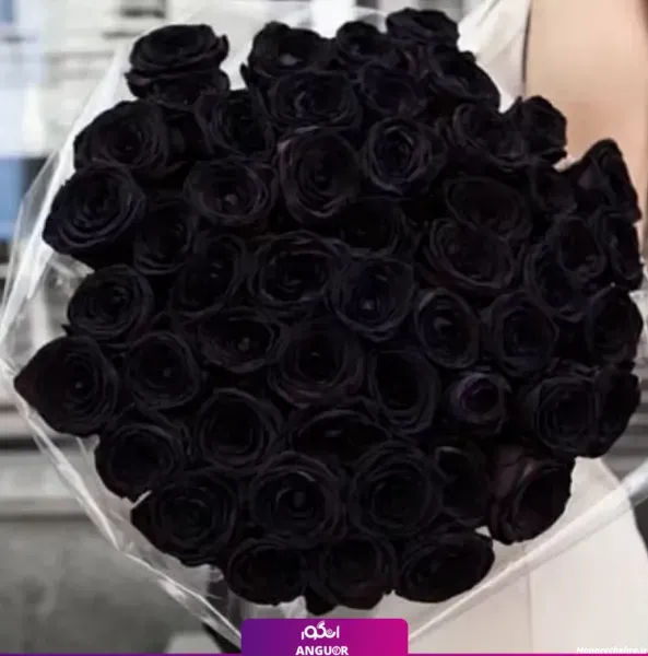  عکس پس زمینه گل رز سیاه برای گوشی موبایل
