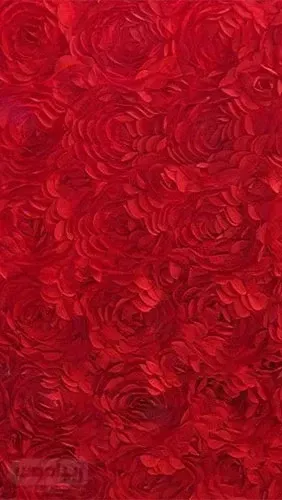  عکس قلب های قرمز برای تصویر زمینه