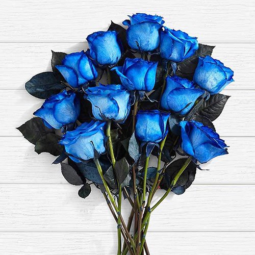 عکس گل های رز آبی خوشگل برای پروفایل