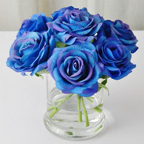  عکس گل های رز آبی خوشگل برای پروفایل