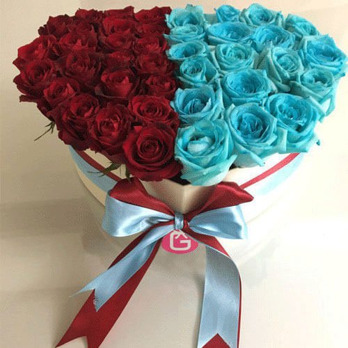  عکس گل های رز آبی خوشگل برای پروفایل