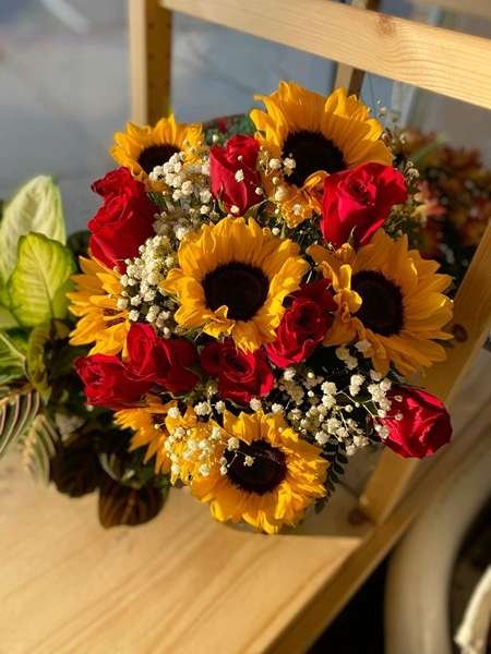  عکس گل آفتابگردان برای تصویر زمینه