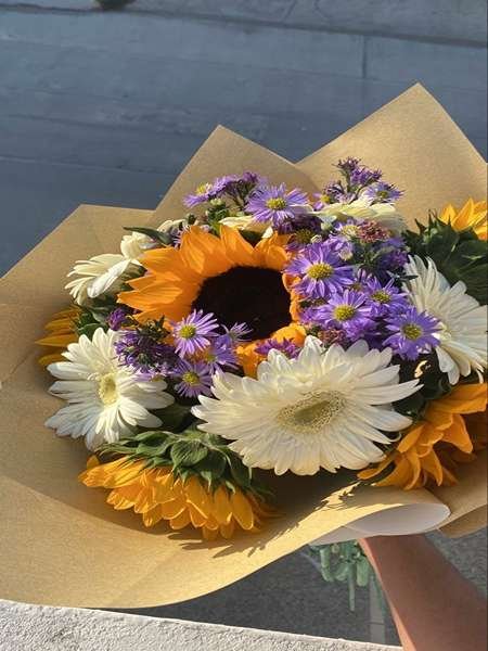  عکس گل آفتابگردان برای تصویر زمینه