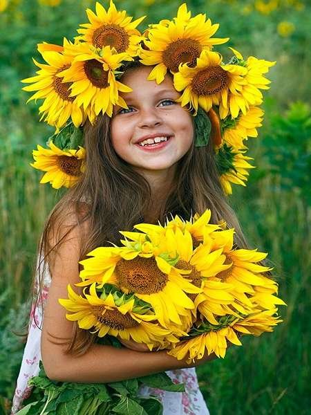  عکس گل آفتابگردان برای تصویر زمینه
