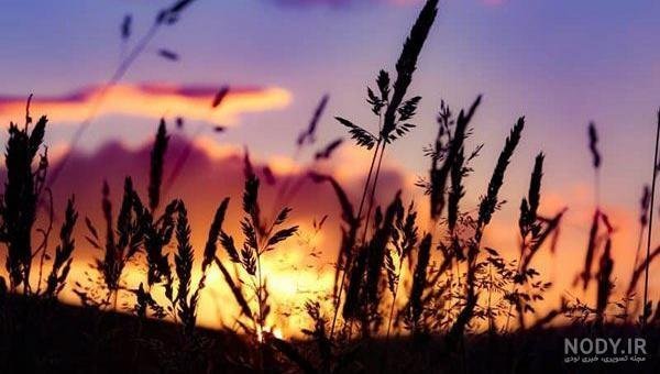  عکس تصویر زمینه غروب عاشقانه زیبا