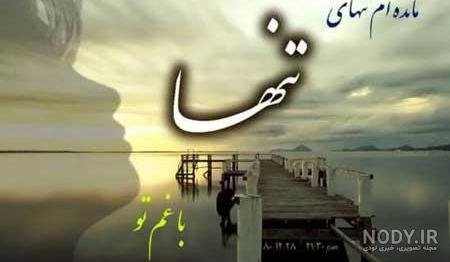  عکس پروفایل کبوتر تنها