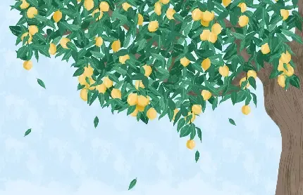  دانلود عکس درخت پر از لیمو