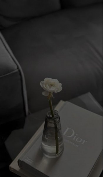 دانلود بک گراند