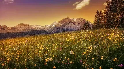  عکس لندن برای پس زمینه