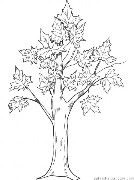  عکس درخت کارتونی برای نقاشی