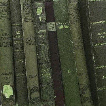  عکس رنگ پاستیلی سبز
