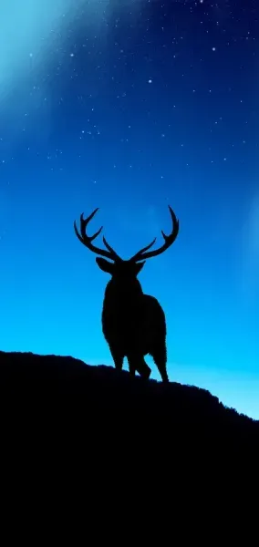  والپیپر آبی خفن