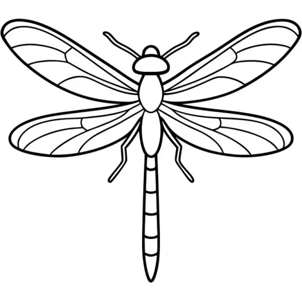  عکس سنجاقک نقاشی