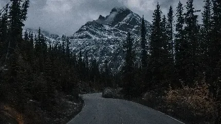 تصویر زمینه کوه برفی شیائومی