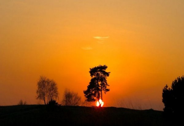 عکس زیبا از غروب خورشید