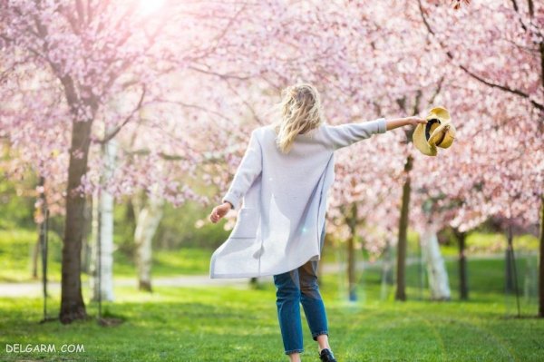  والپیپر درخت بهاری برای گوشی