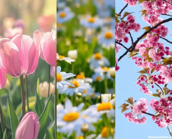 تصویر زمینه بهاری موبایل